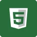 HTML 5 Green Icon